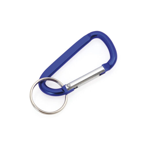 Karabijnhaak sleutelhanger met sleutelring blauw