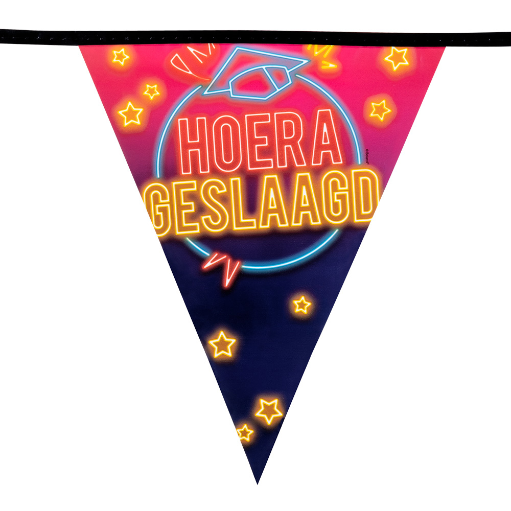 Vlaggenlijn geslaagd neon - 6 meter - 15 vlaggetjes - Afbeelding 2