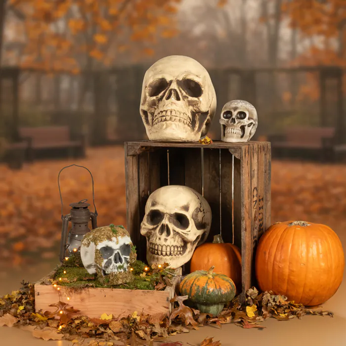 Schedel - Halloween - 15 x 20 x 16 cm - Afbeelding 5
