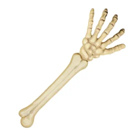 Skeletarm - Halloween - 46 cm